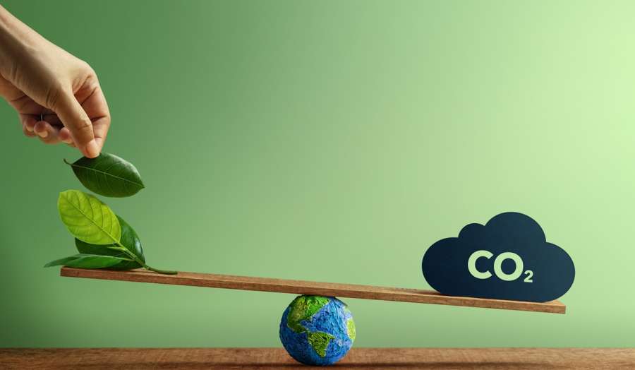 understanding green leases